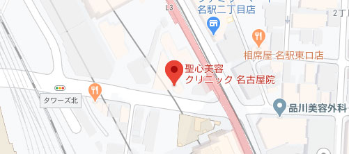 聖心美容クリニック 名古屋院地図