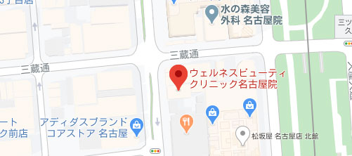 ウェルネスビューティクリニック 名古屋院地図