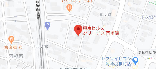 東京ヒルズクリニック 岡崎院地図