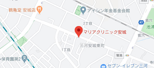 マリアクリニック 豊田院地図