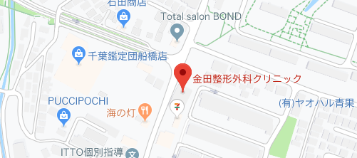金田整形外科クリニック 美容皮フ科地図