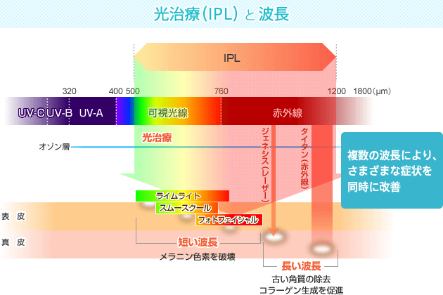 光治療と波長のイメージ画像
