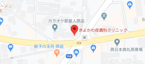 きよかわ皮膚科クリニック地図