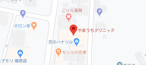 やまうちクリニック地図