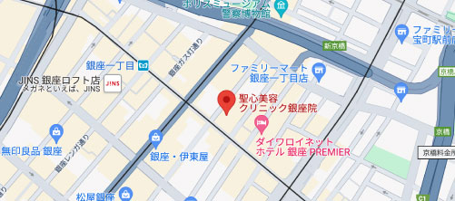 聖心美容クリニック銀座院地図