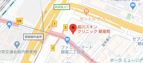 品川スキンクリニック 銀座院地図