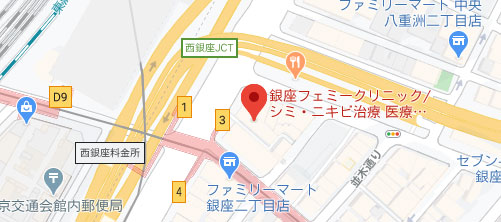フェミークリニック 銀座院地図