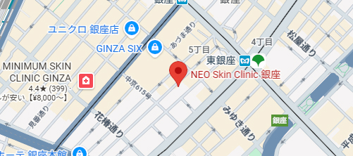 湘南美容NEO Skin Clinic銀座地図