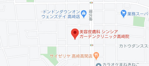 シンシアガーデンクリニック 高崎院地図