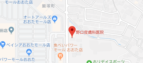 野口皮膚科医院地図