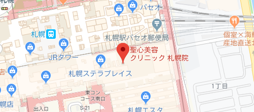 聖心美容クリニック 札幌院地図