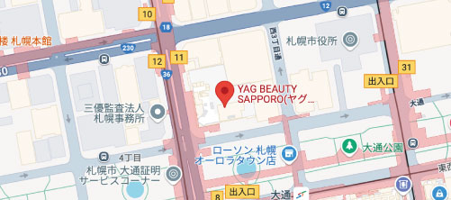 YAG BEAUTY CLINIC 札幌地図
