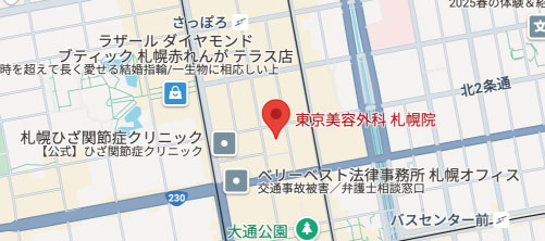 東京美容外科 札幌院地図