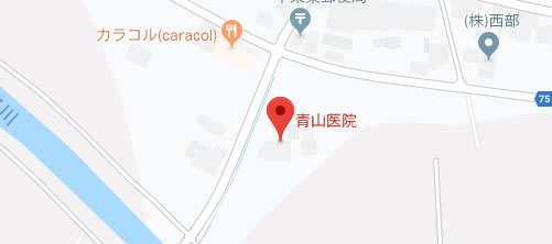 青山医院地図