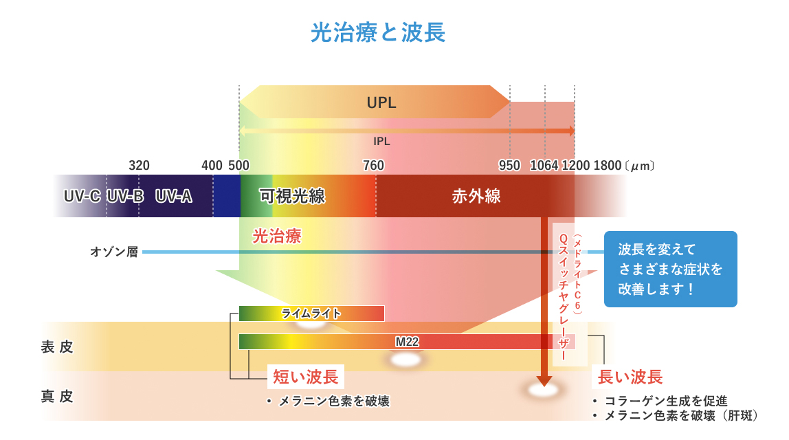 光治療と波長のイメージ画像