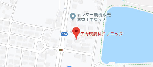 矢野皮膚科クリニック 地図