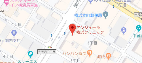 アンジュール横浜クリニック地図