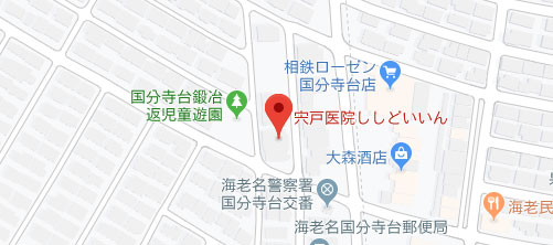 宍戸医院地図