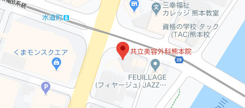 共立美容外科 熊本院地図