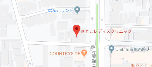 さとこレディスクリニック地図