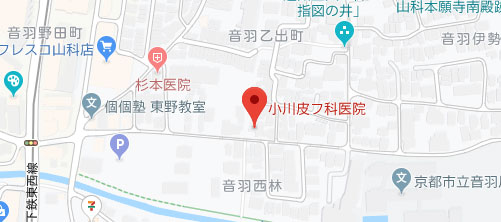 小川皮フ科医院地図