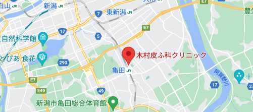 木村皮ふ科クリニック地図