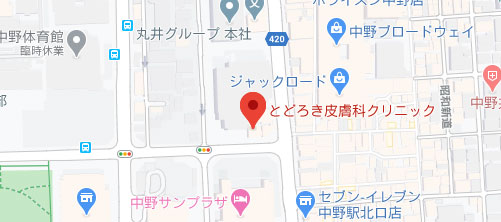 とどろき皮膚科クリニック地図