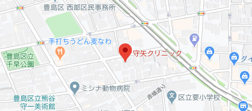 守矢クリニック地図