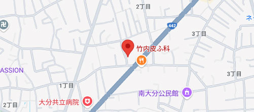 竹内皮ふ科地図