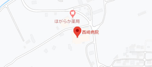西崎病院地図