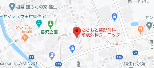 ささもと整形外科形成外科クリニック地図