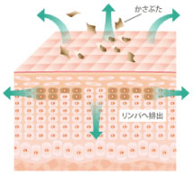 レーザー照射後のイメージ画像