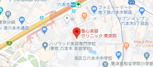 聖心美容クリニック 東京院地図