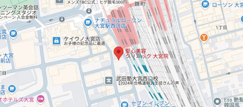 聖心美容クリニック 大宮院地図