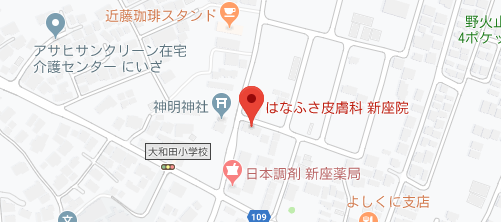 はなふさ皮膚科 新座院地図