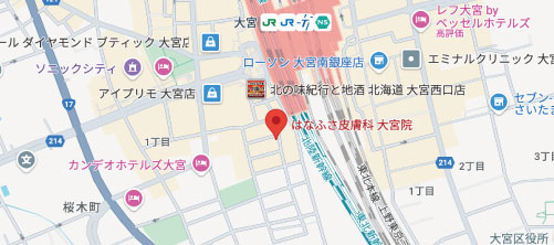 はなふさ皮膚科 大宮院地図