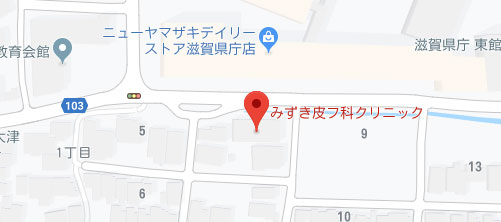 みずき皮フ科クリニック地図