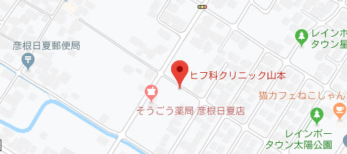 ヒフ科クリニック山本地図