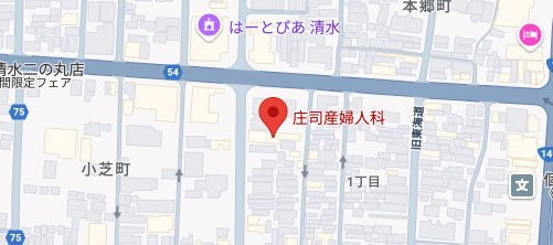 庄司産婦人科地図
