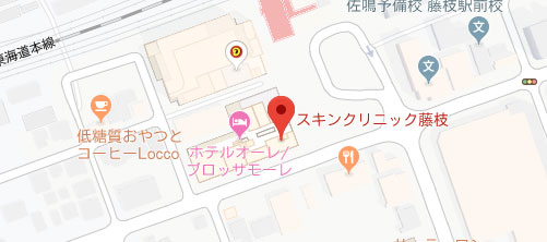 スキンクリニック藤枝地図