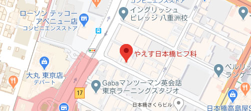 やえす日本橋ヒフ科地図