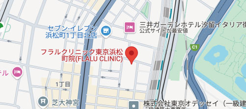 FLALUクリニック 東京浜松町院地図