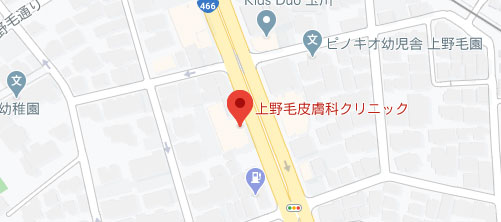 上野毛皮膚科クリニック地図