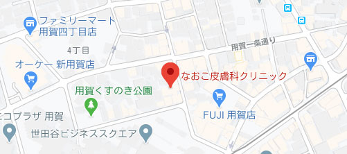 なおこ皮膚科クリニック地図