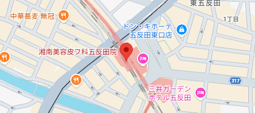 湘南美容クリニック 東京蒲田院地図