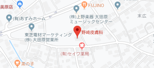 栃木県 宇都宮 栃木市など のシミ取りレーザー 美容クリニック 皮膚科21院まとめ 栃木県 宇都宮 栃木市など のシミ取りレーザー 美容クリニック 皮膚科21院まとめ