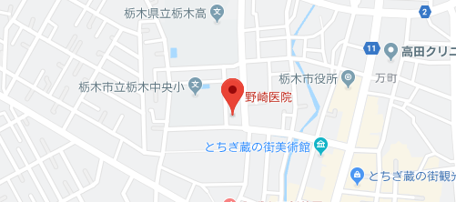 野崎医院地図