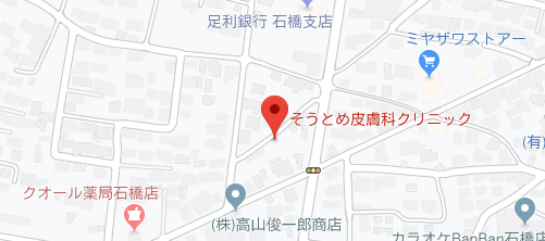 そうとめ皮膚科クリニック地図