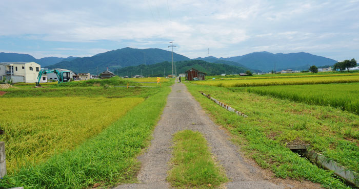 クリニックや美容外科の少ない地方