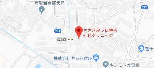 ささき皮フ科+整形外科地図